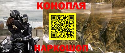 сатива Кандалакша