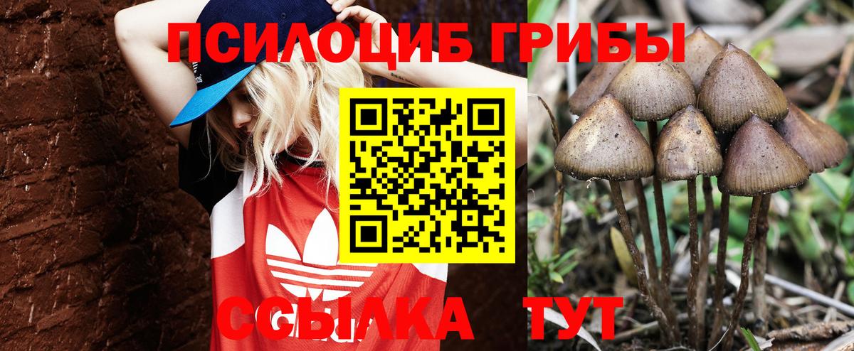 Псилоцибиновые грибы ЛСД Лиски